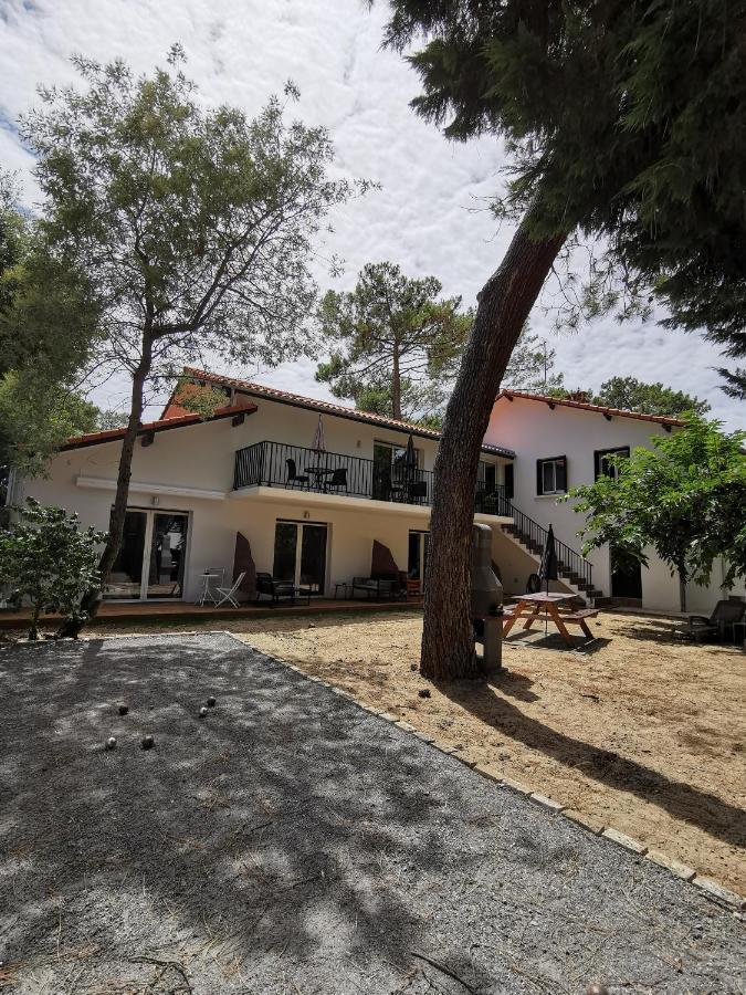 Jaray-Jaclo Chambres D' Hotes Vieux-Boucau-les-Bains Exterior photo